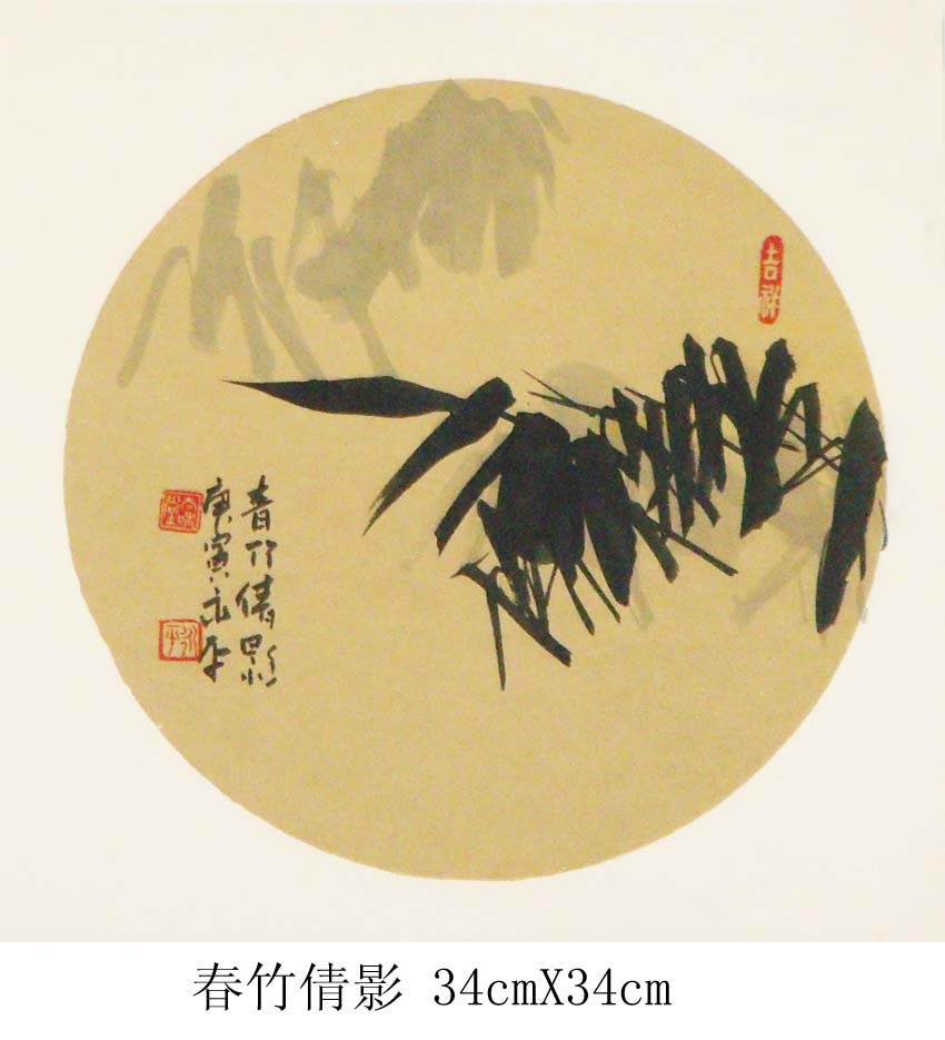 春竹倩影34cmX34cm