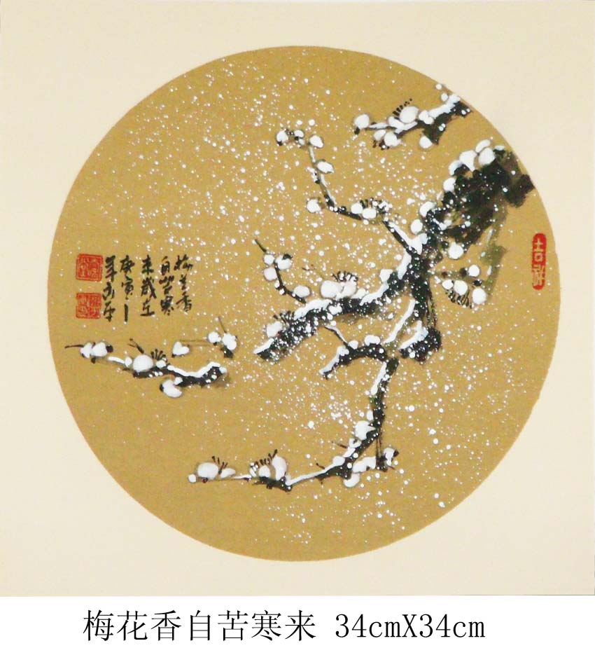梅花香自苦寒来34cmX34cm