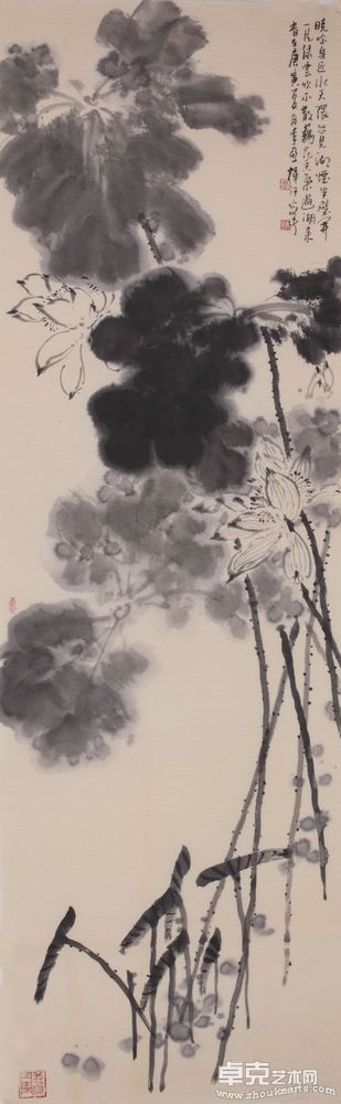 出水荷风带露香