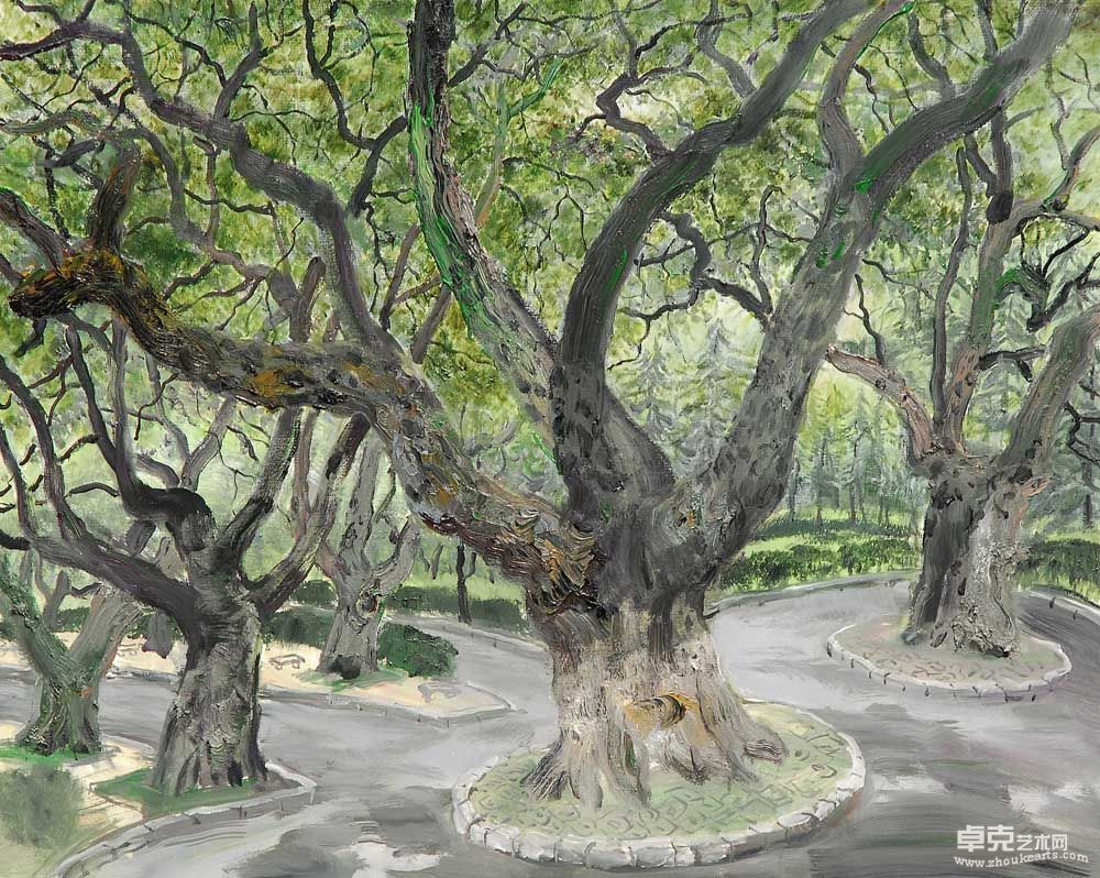 海大园内百年老树80×100cm
