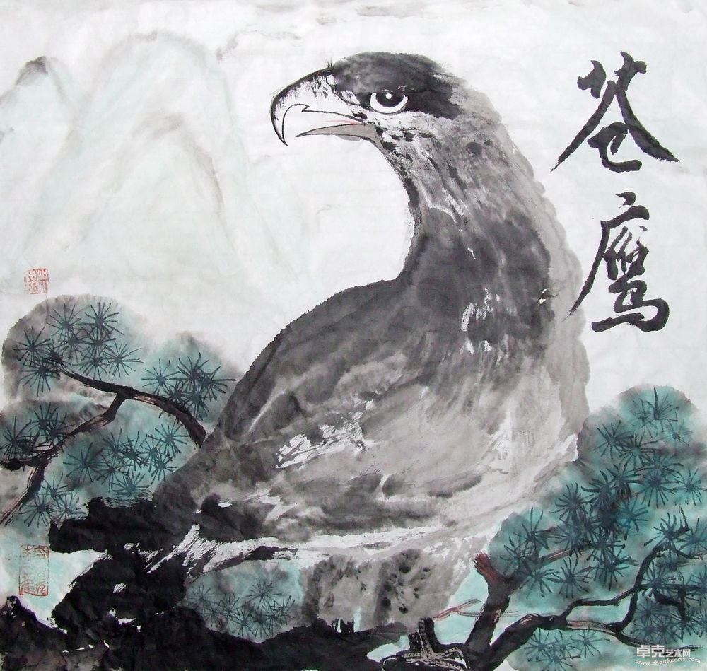 苍鹰图70x70cm