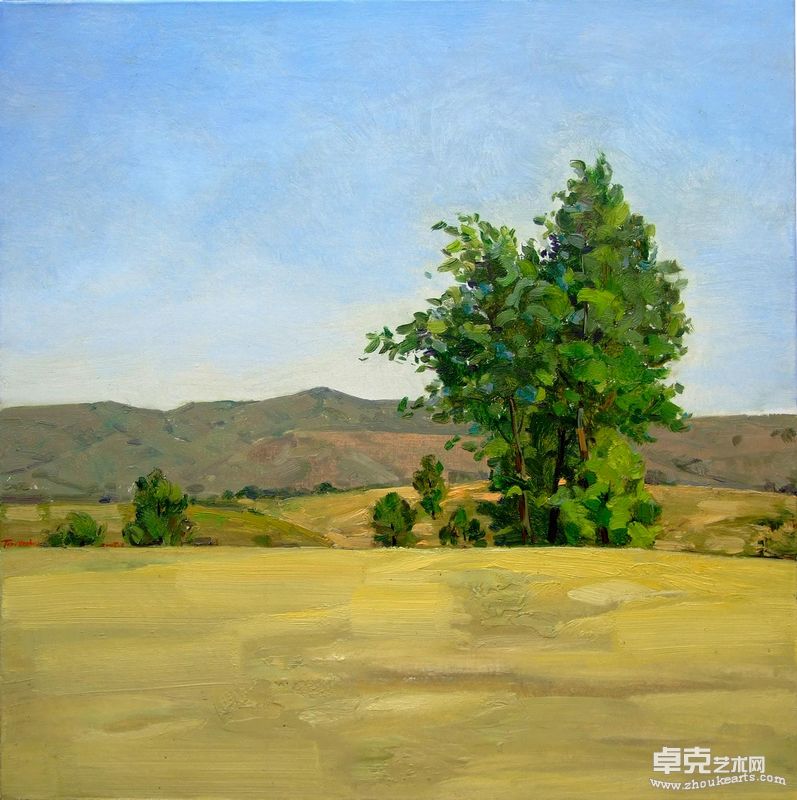 坡   80CMX80CM