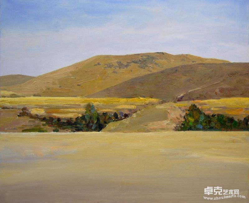 山坡下的麦地