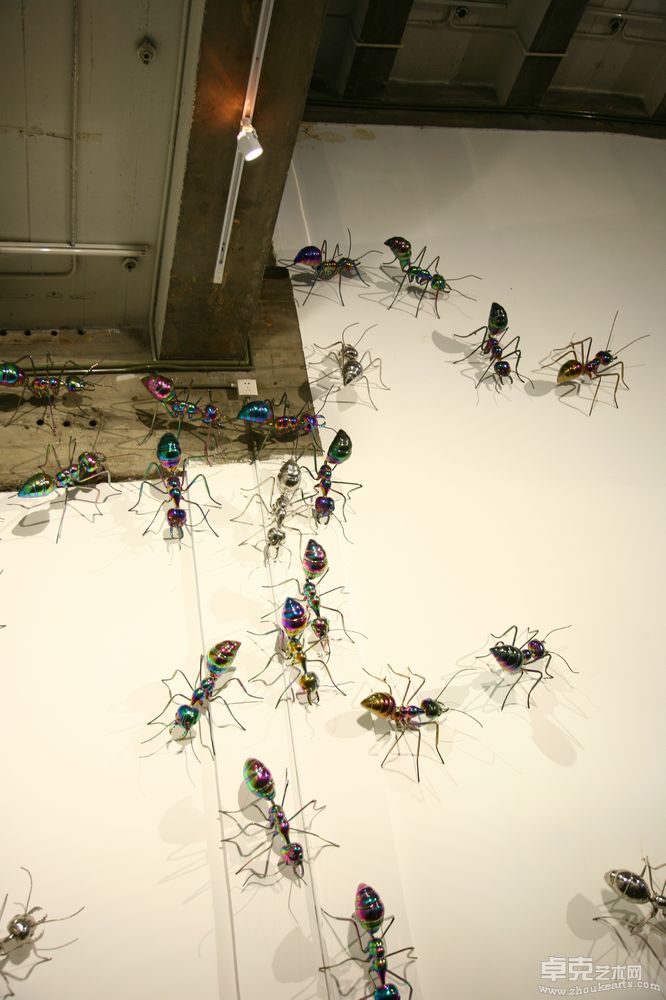 《小蚂蚁》彩色a60x50x30cm