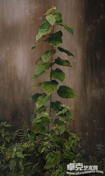植·物·人