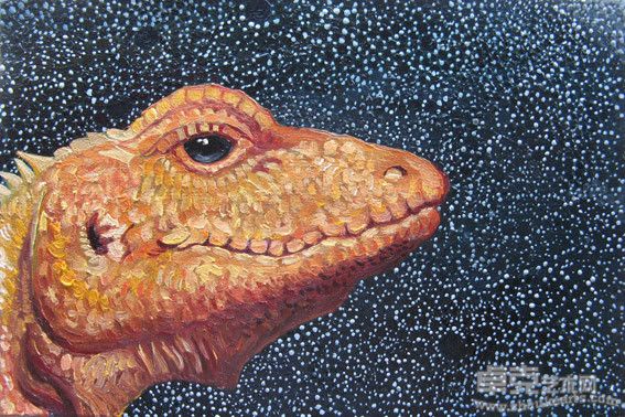 男蜥蜴 20x30cm 2011