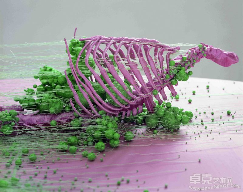 展览作品
