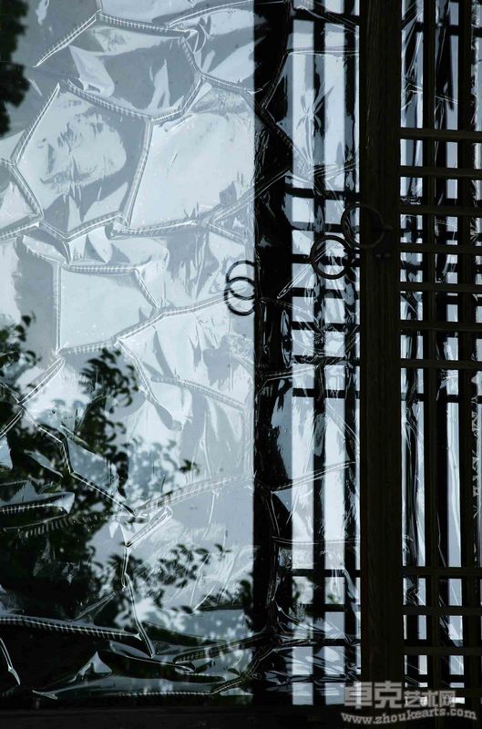 紫薇成英熙 岁月_ 11x14cm_ c-print 2010年
