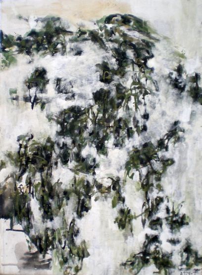 展览作品