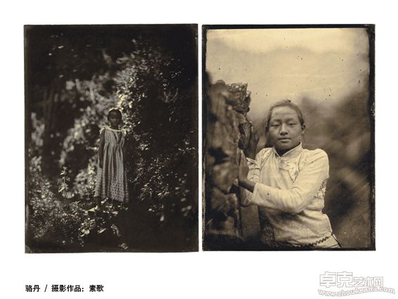 骆丹