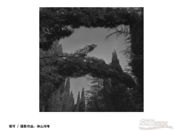 塔可