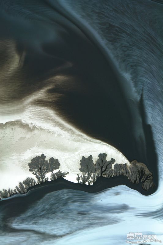 吴少英（中国澳门）,树6,水墨摄影,46 × 61cm,2006