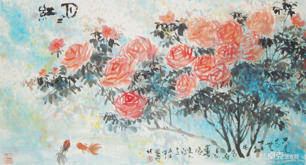 月月红四尺
