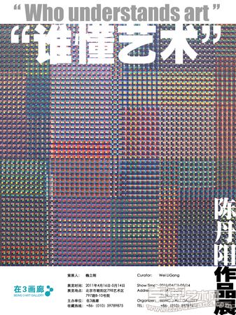 谁懂艺术——陈丹阳个展