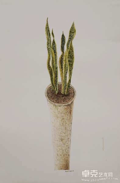 康妮《植物》2010年2#.58.7X89.1cm.纸上油画