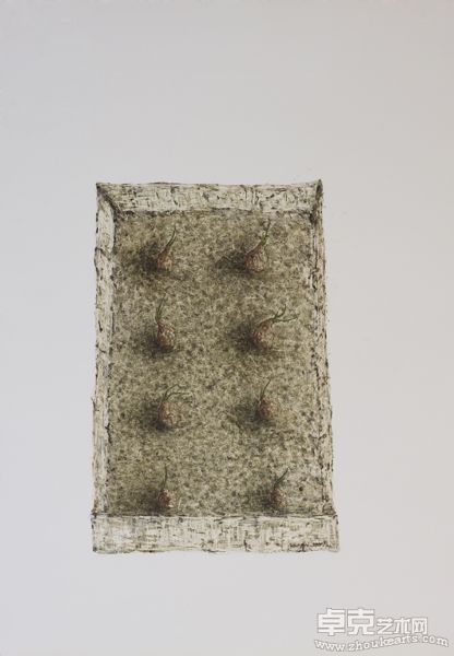 康妮《植物》2011年1#.78.8X54.4cm.纸上油画
