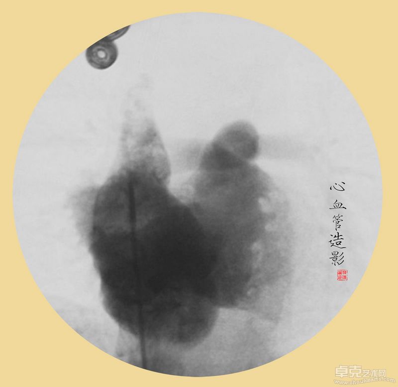 韩晓丽-殇40X40cmX11 （观念摄影） (11)