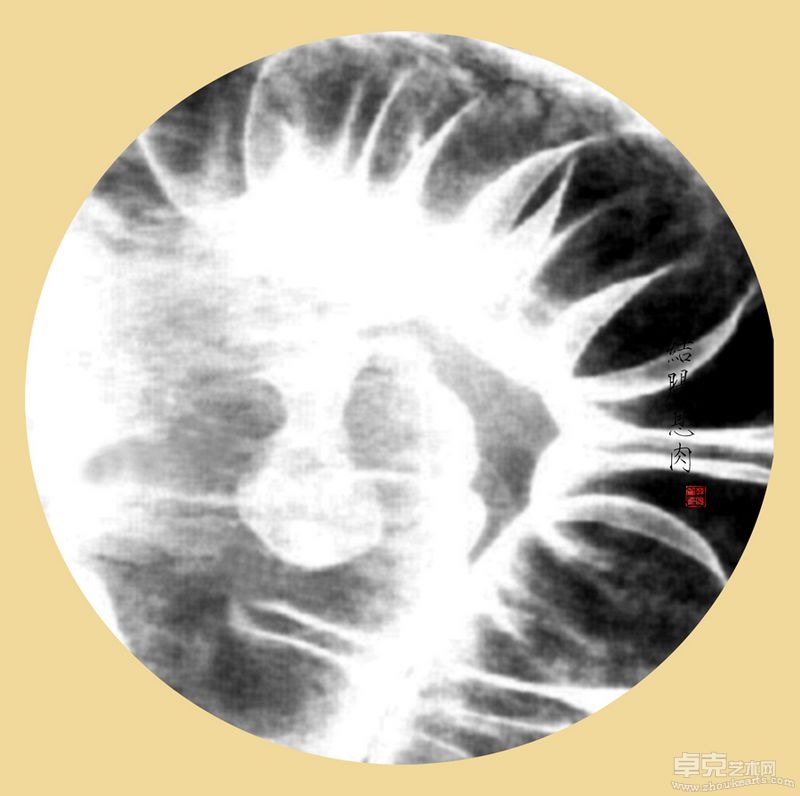 韩晓丽-殇40X40cmX11 （观念摄影） (5)