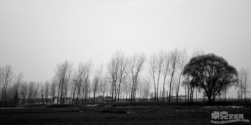 金小芳-风景90X45cmX4 (3)（摄影）