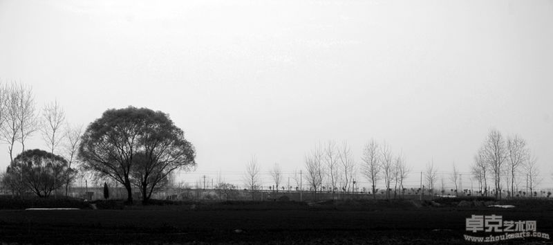 金小芳-风景90X45cmX4 (1)（摄影）