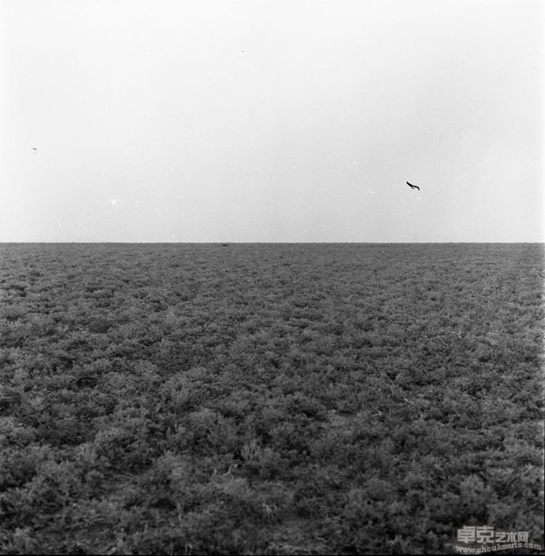 田林-遗迹40x30 cm（图片） (12)