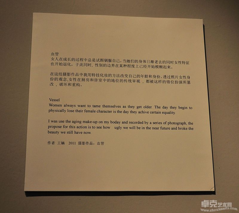 王婳-血管40x40cmx3（行为图片） (4)