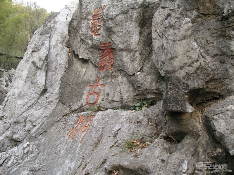 相片32
