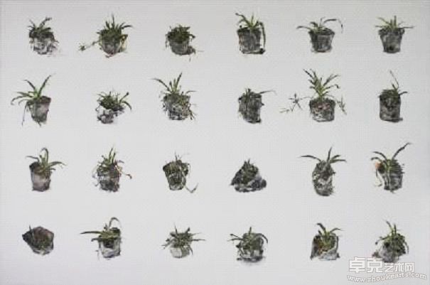 盆景 兰 Pot View  布面油画 Oil on Canvas 120 x 400cm 2010