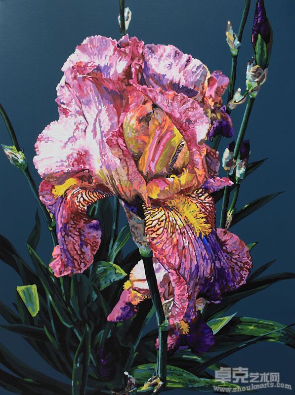 裸花18号Naked Flower No.18布面丙烯 乙烯 金漆Acrylic Vinylic Gold lacquer on canvas200×150cm 2011