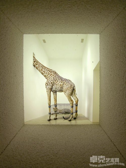 《A102》灯箱 30x30x45cm 2009 内部