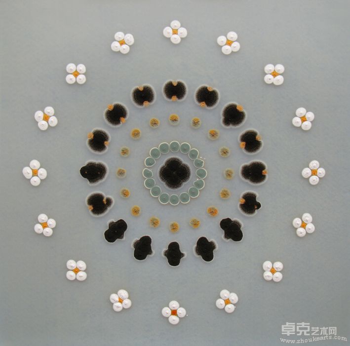 陈友桐