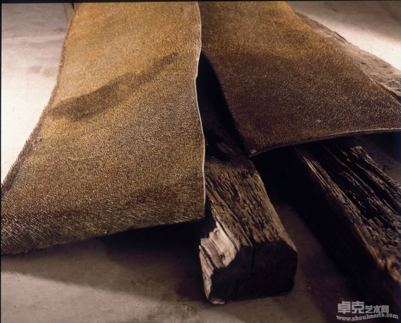 隋建国作品：Kill Rubber and nails 150×500×40cm 1996