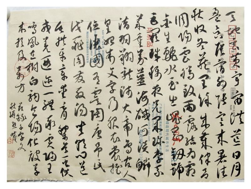 熊曦2
