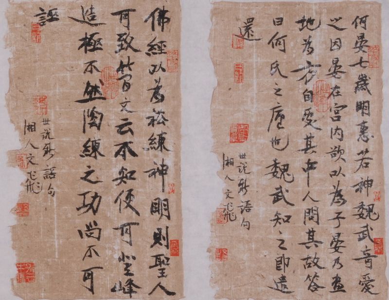 肖文飞2