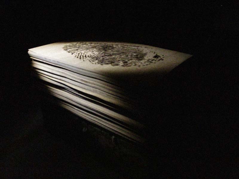 牛皮档案9