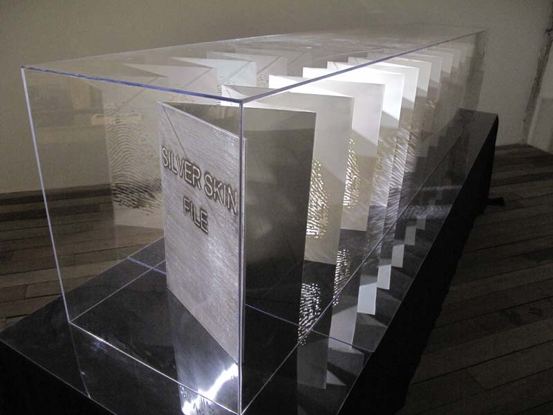 银皮档案3