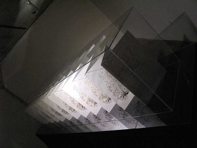 银皮档案8