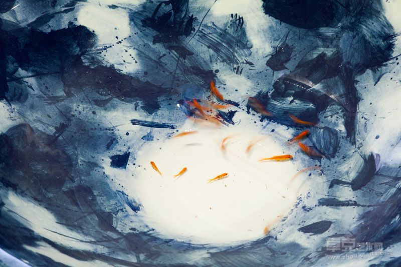 展览现场 16