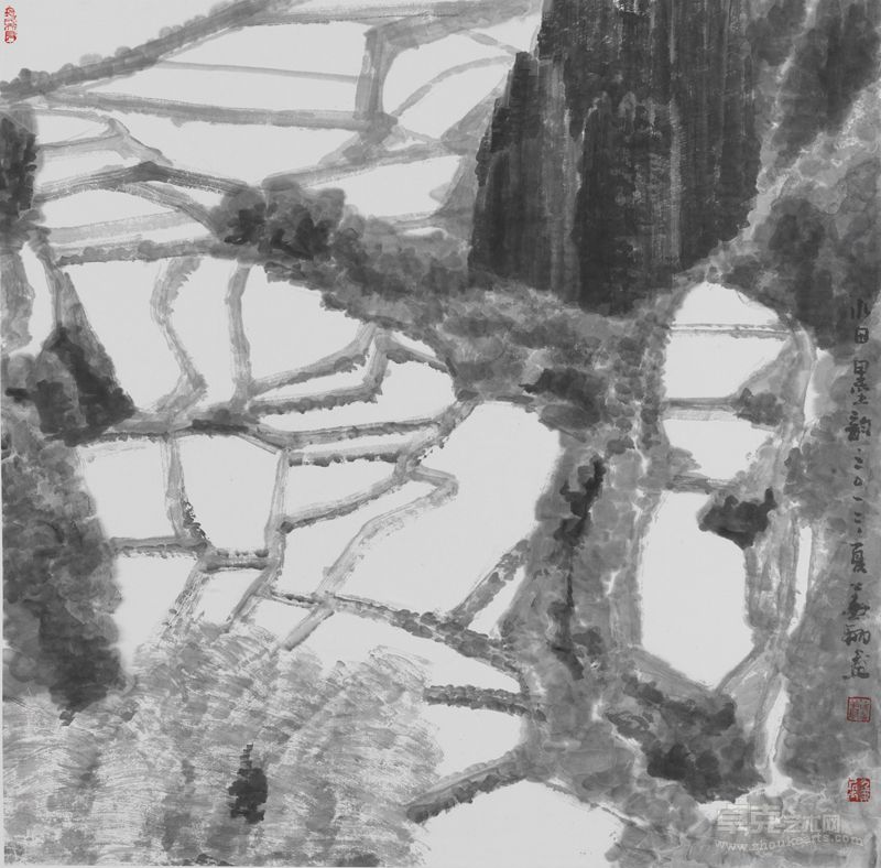 徐华翔 水田墨韵  68×100cm 2012年