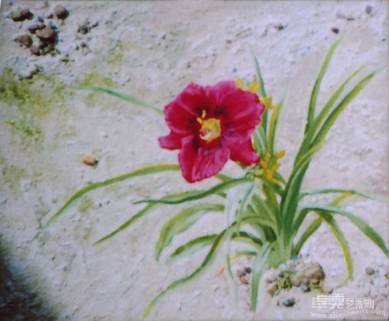 宣槿花