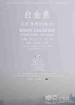 2012器·Haus空间艺术家驻留计划-“白金鱼WHITE GOLDFISH”SANDRA KUNZ作品展