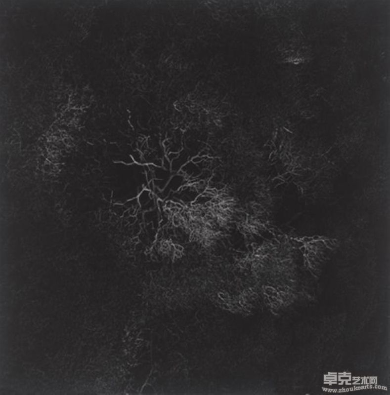 “原作100”展览作品