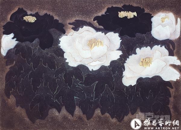 郑爽  黑牡丹白牡丹