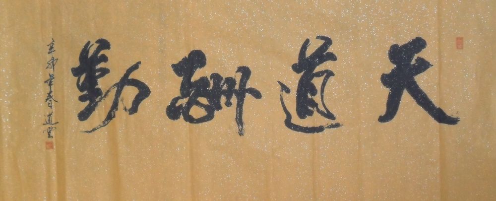 照片10