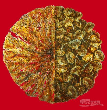 中国红之一