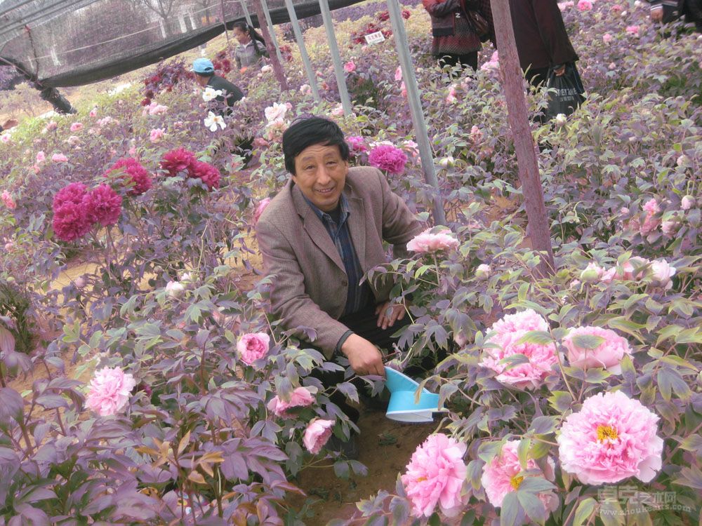 照片
