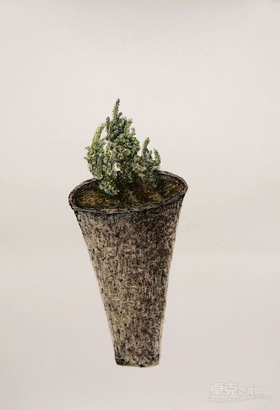 《植物》2010年4#50.5X34.5cm