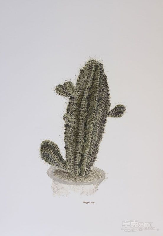 《植物》2011年5#.79X54.8cm