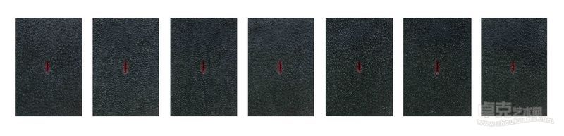 开放的中国（7张）  120×80  布面油画  2012