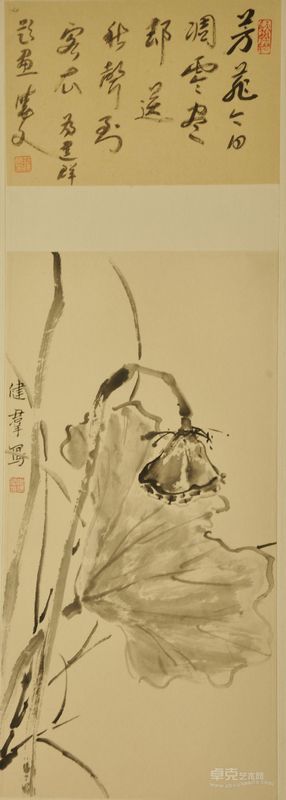张健群 花鸟4